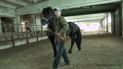 Zoo porn compilation: zoophilia anal horse
