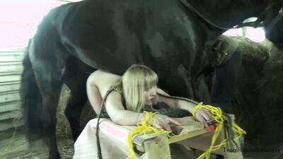Zoo porn compilation: zoophilia anal horse