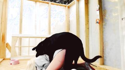 Art of zoo porno: kiss me again dog girl