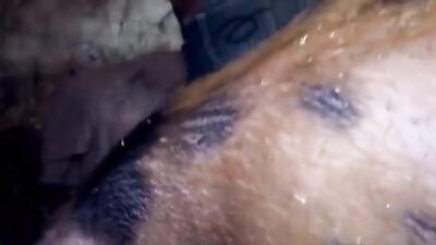 Dog girl 1: free teen sex dog