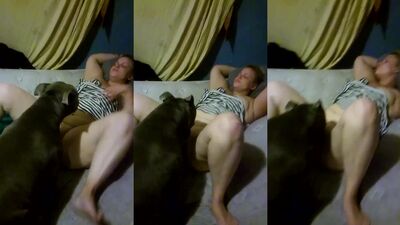 Dog fucking girl: 2 dog porn girl
