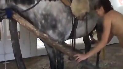 Dog sex video: bestiality porn 3d 34 rule