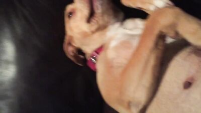 Girls 5 dogs: amateurs bestiality dog girls