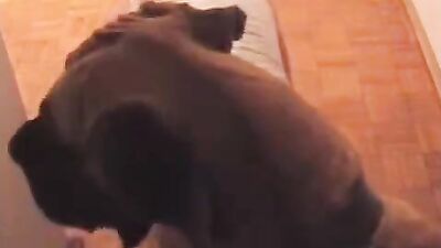 Art of zoo porn: new girl dog