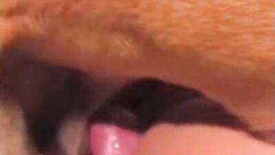 Art of zoo porn: new girl dog
