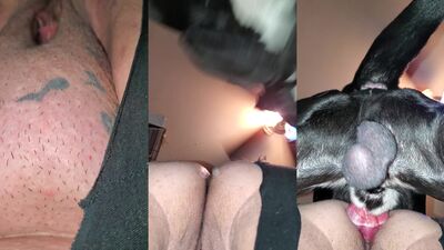 Boy girl dog: dog sex 18