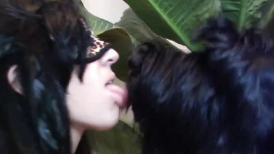 Bestiality video: dog porn art
