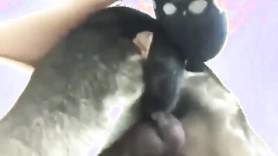 Dog get girl: animal porn tube porn