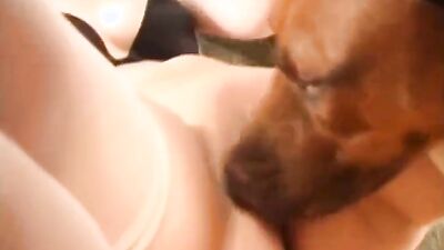 Dog porn: zoo porn team russia three girl