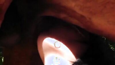 Sex animal's: hentai animal porn gallery
