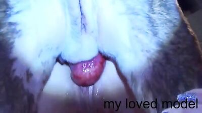 Dog fucking girl: japan beastiality and asian animal porn