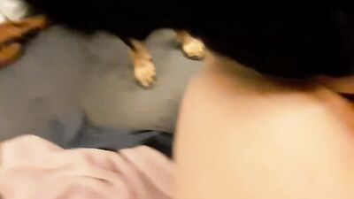 Dog sex video: video sex man and little dog