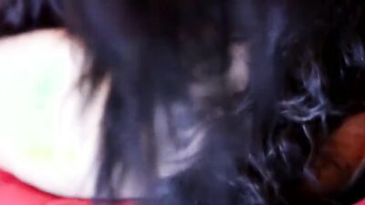 Zoo dog sex: https ladya sonya exclusive zoo porn