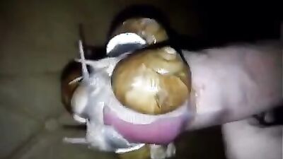 3d dog porn: dog animal sex girl 2026