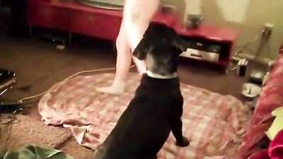 Dog fuck girls fucking: dog fuck black girl webcam