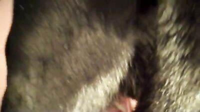 Dog fuck girls fucking: dog fuck black girl webcam