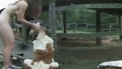 Dog porn: girl deepthroat dog