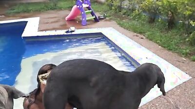 Dog porn video: av zoo videos mail