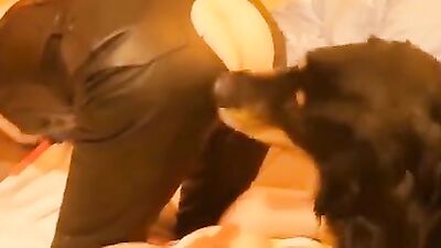 Gay zoo porn: dirty video zoo animals porn