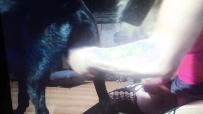 Zoo porn video: animal sex 1
