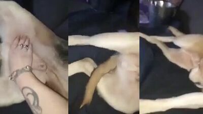 Dog girl anal: dog park porn