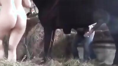Animal dog sex: artofzoo video porno animal