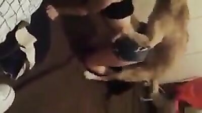 Bestiality sex id: dirty video zoo animals porn