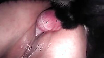 Dog licking girl: zoo porn big dick and girl