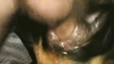 Dog fuck porn: bestiality porn dog fuck