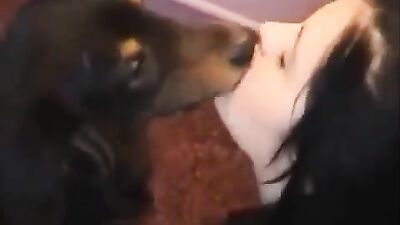 Animal sex porn: bestiality toons