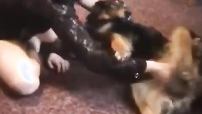 Animal sex porn: bestiality toons