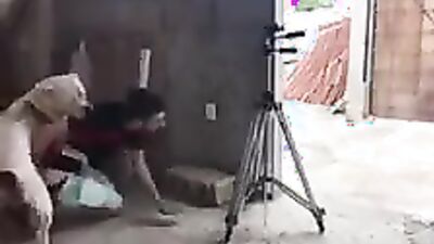 Zoo porn video: zoo porn hardcore men