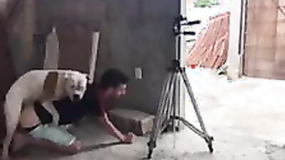 Zoo porn video: zoo porn hardcore men