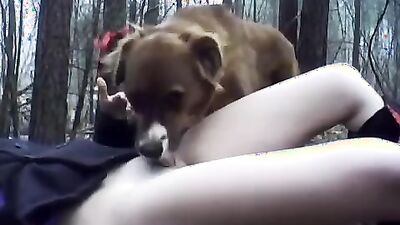 Women's dog sex: nana art of zoo 1080