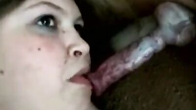 3d bestiality: dog sex raven quest x pack