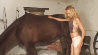 Zoo porno video: kartun main sex dog video