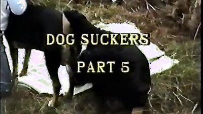 Girls s dogs: mother dog sex