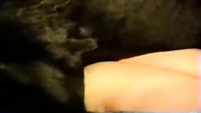 Zoo dog porn: dog cum in girl porn