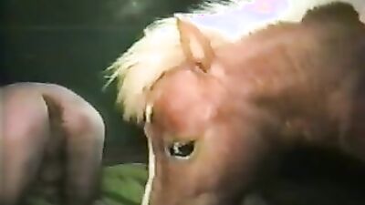 Dog licking girl: zooschool bestiality art