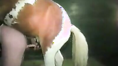 Dog licking girl: zooschool bestiality art