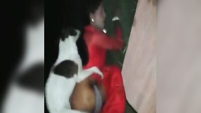 Russian zoo porn: big cocks animal porn