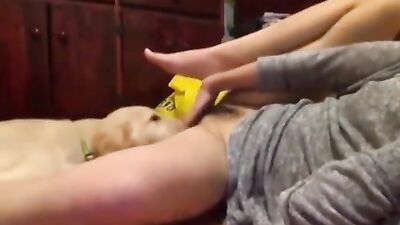 3d dog porn: evva dog sex