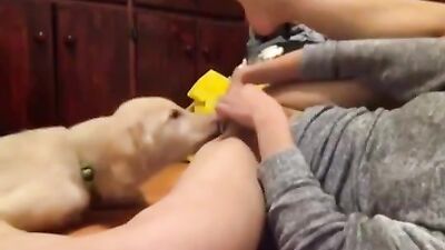 3d dog porn: evva dog sex