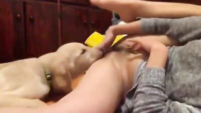 3d dog porn: evva dog sex