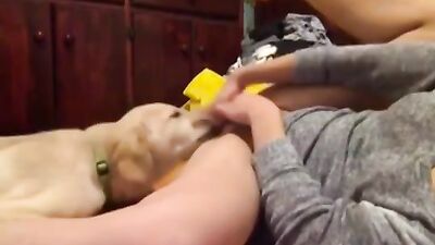 3d dog porn: evva dog sex