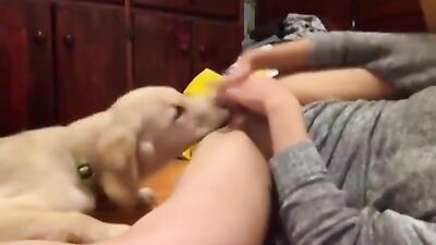 3d dog porn: evva dog sex