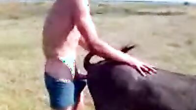 Bestiality hentai: small dog porn