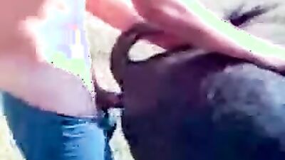 Bestiality hentai: small dog porn