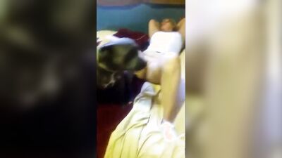 Dog girl anal: longest zoo porn