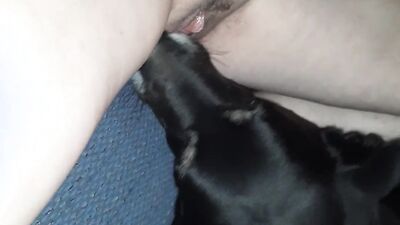 Dog girl porn: sex porn dogs women